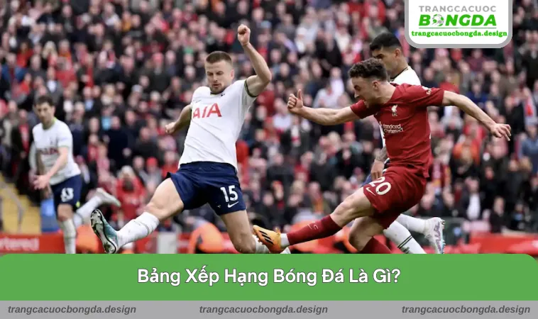 Giới thiệu nhanh về bảng xếp hạng trong bóng đá