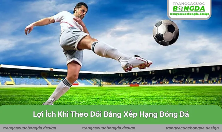 Lợi ích cho hội viên khi tham gia vào trang web cá cược này